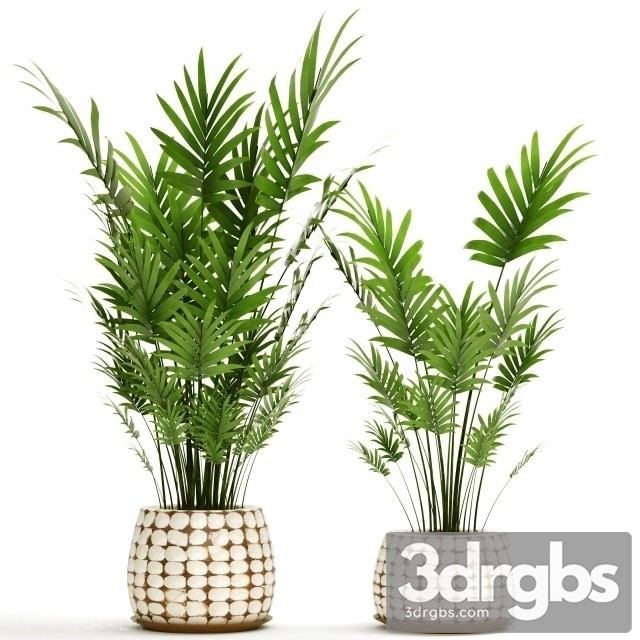 Decor Palms Set 3dsmax Download - thumbnail 1