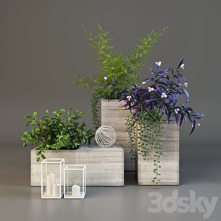 Decor set with plants 3DS Max - thumbnail 1