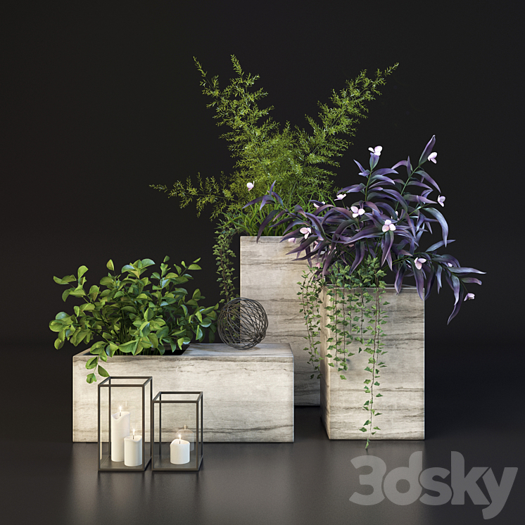 Decor set with plants 3DS Max - thumbnail 2