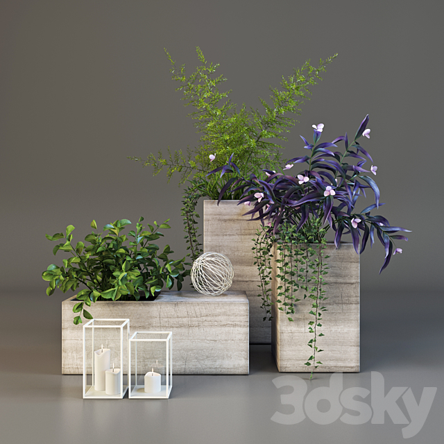 Decor set with plants 3DSMax File - thumbnail 1