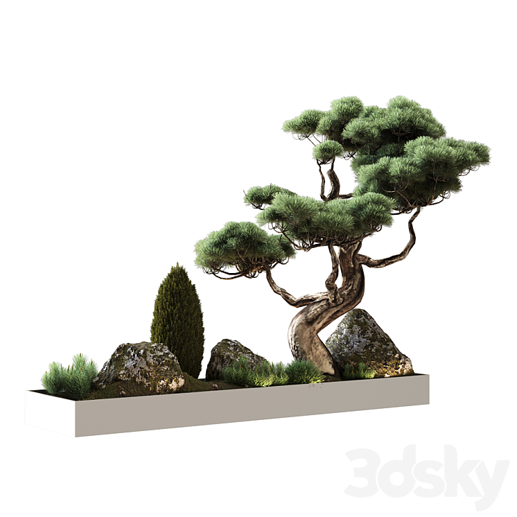 Decor with pine 3DS Max - thumbnail 1