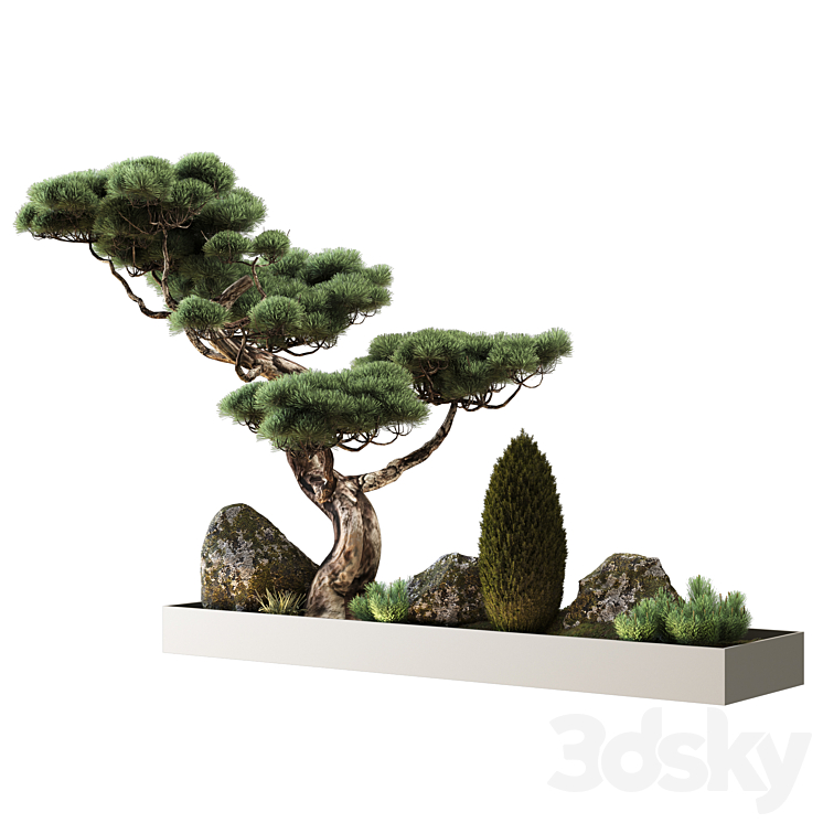 Decor with pine 3DS Max - thumbnail 2