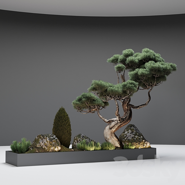 Decor with pine 3DSMax File - thumbnail 3