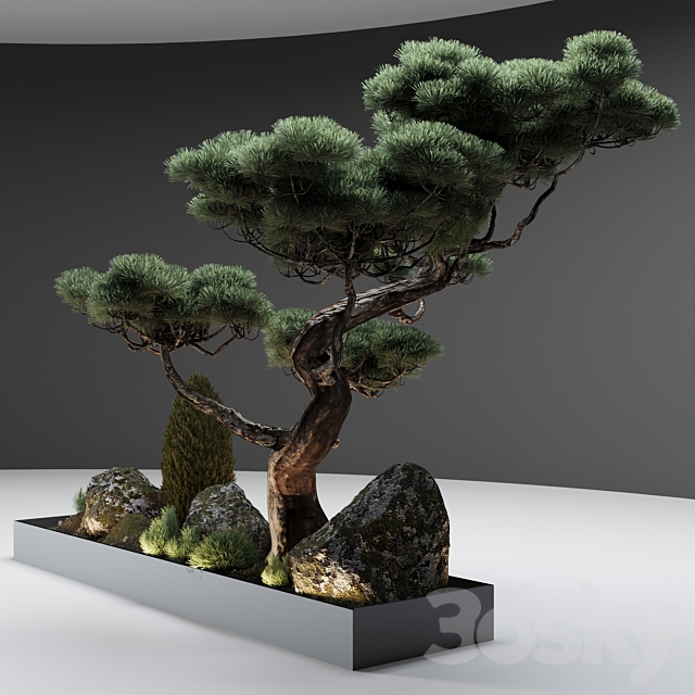 Decor with pine 3DSMax File - thumbnail 4