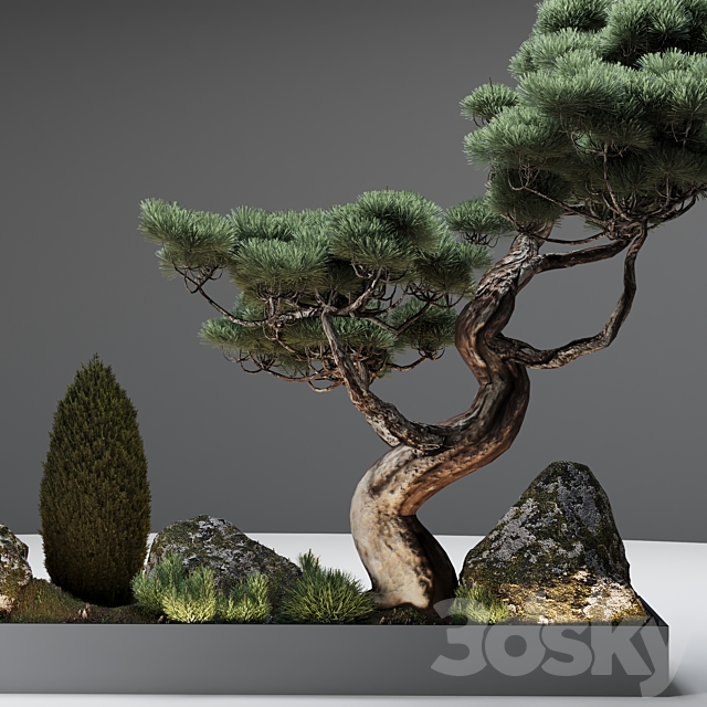 Decor with pine 3DSMax File - thumbnail 5