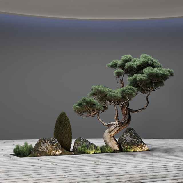 Decor with pine 3DSMax File - thumbnail 6