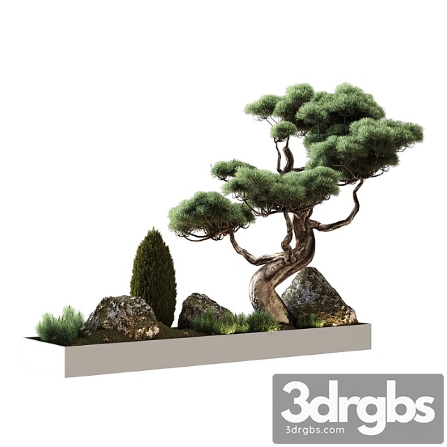 Decor with pine - thumbnail 1