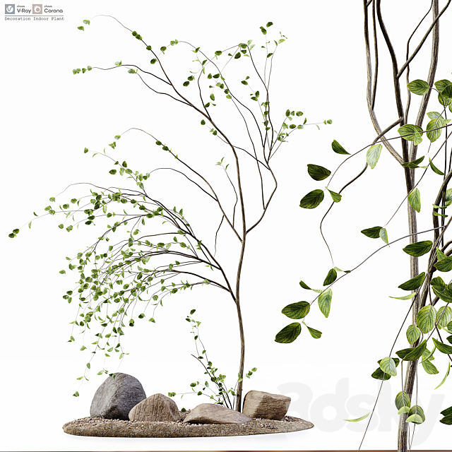 Decoration Indoor Plant 3ds Max - thumbnail 1