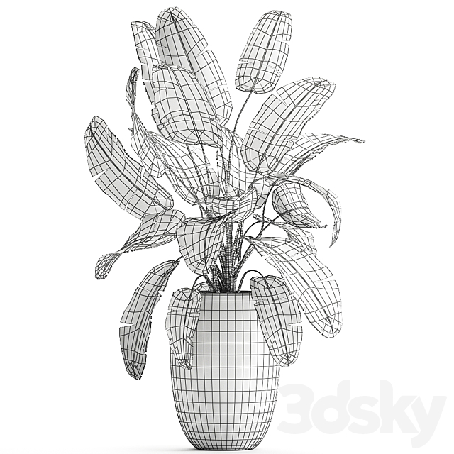 Decorative banana palm is an exotic strelitzia plant in a luxury pot luxury. Set 794. 3DS Max Model - thumbnail 5