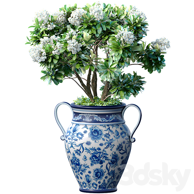 Decorative blooming garden tree with white Plumeria flowers in a vase 3ds Max - thumbnail 1