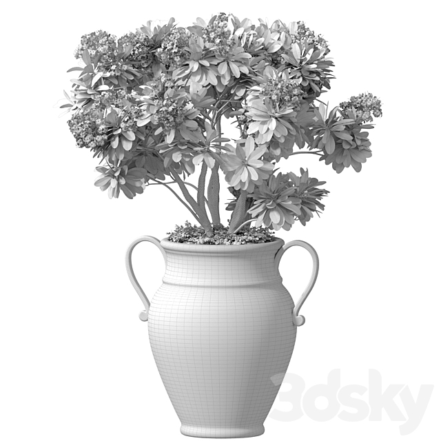 Decorative blooming garden tree with white Plumeria flowers in a vase 3ds Max - thumbnail 3