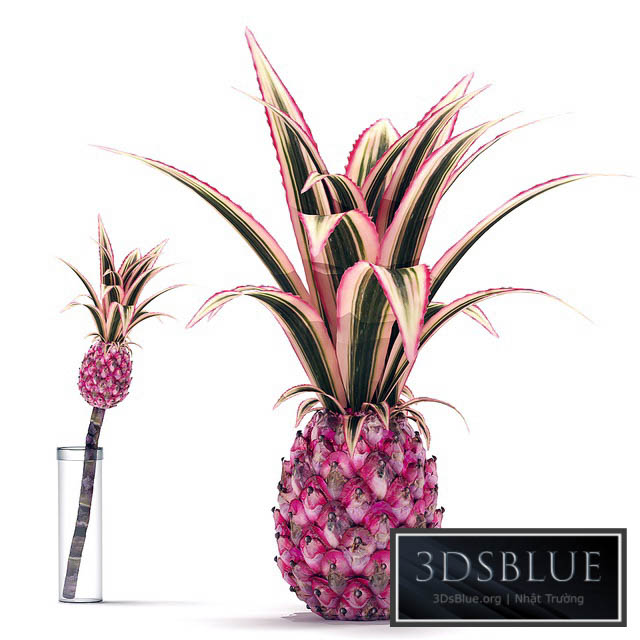 Decorative Pink Pineapple 3DS Max - thumbnail 3