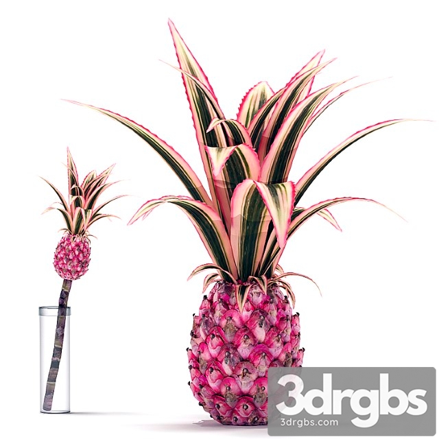 Decorative pink pineapple - thumbnail 1