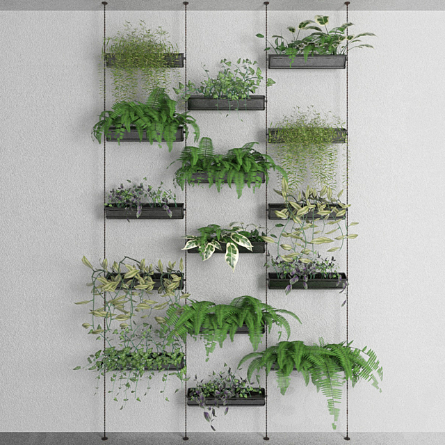 Decorative plants 3DSMax File - thumbnail 1