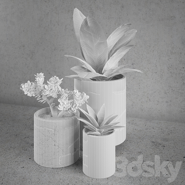 Decorative set _ plants 3DSMax File - thumbnail 3