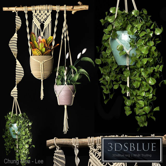 Decorative set of hanging pots 2 3DS Max - thumbnail 3