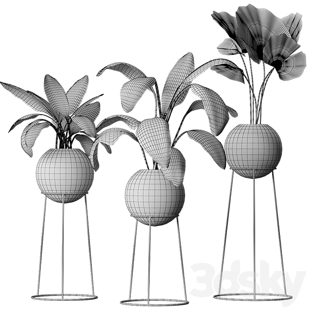 Decorative set of plants 3DSMax File - thumbnail 3