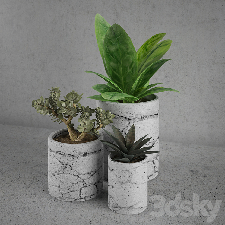 Decorative set \/ plants 3DS Max - thumbnail 2