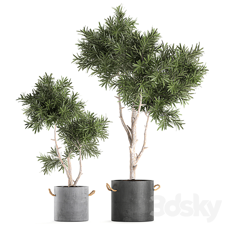 Decorative small tree in a black concrete pot topiary. Set 741. 3DS Max - thumbnail 1