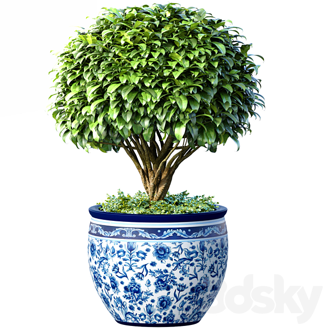 Decorative tree in an Italian vase. Indoor plant 3ds Max - thumbnail 1