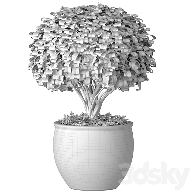 Decorative tree in an Italian vase. Indoor plant 3ds Max - thumbnail 3