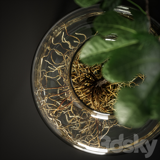 decorative vase 3DSMax File - thumbnail 4