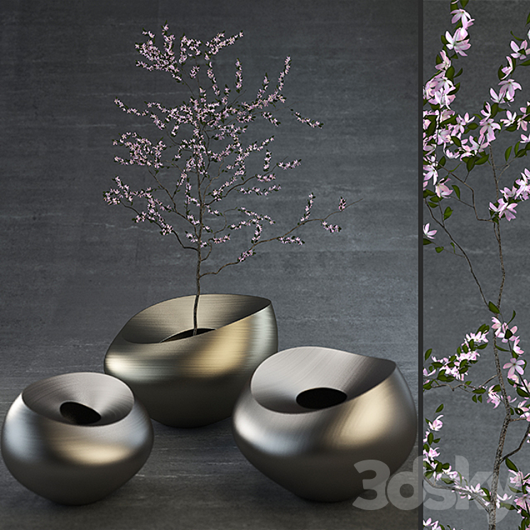 Decorative Vases 3DS Max - thumbnail 1