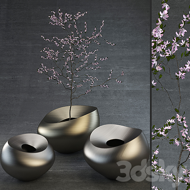 Decorative Vases 3DSMax File - thumbnail 1