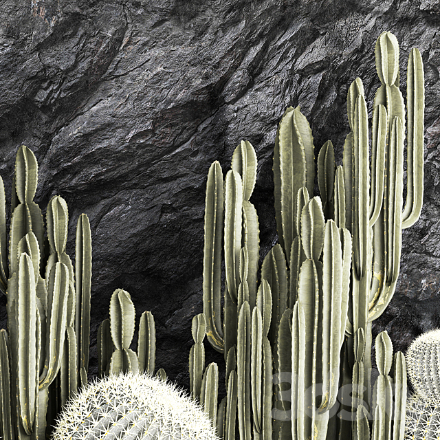 Desert plants cacti with wall rock black pebbles cereus echinocactus Barrel cactus. Plant collection 1279 3DS Max Model - thumbnail 3