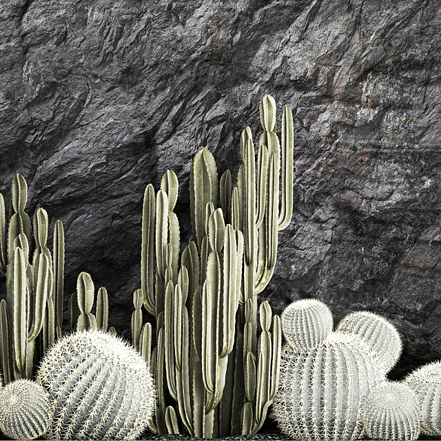 Desert plants cacti with wall rock black pebbles cereus echinocactus Barrel cactus. Plant collection 1279 3DS Max Model - thumbnail 5