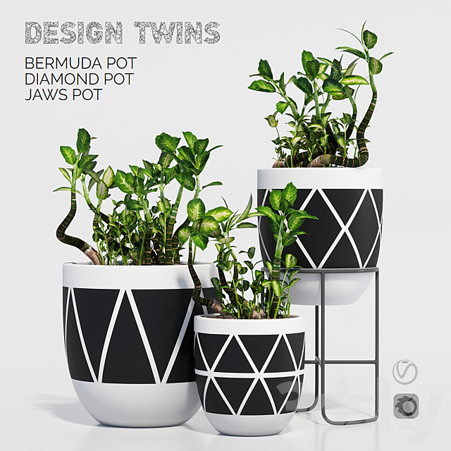 designtwins_pot 3DSMax File - thumbnail 1