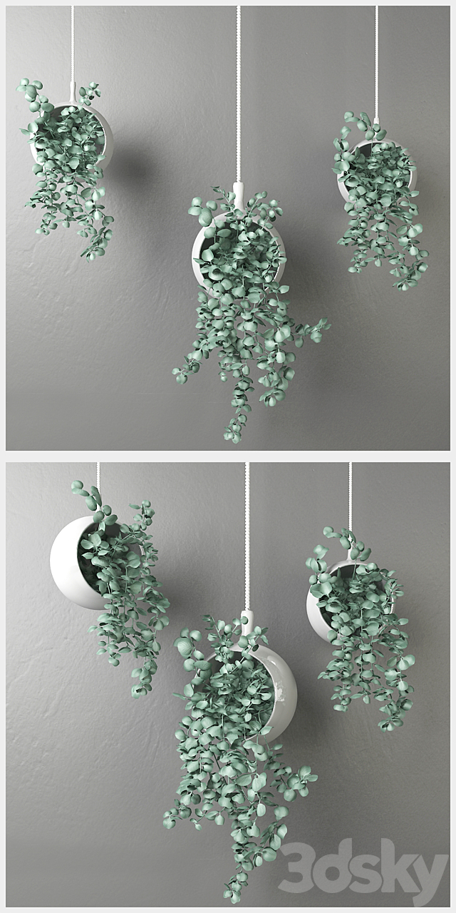 Dichondra in a hanging flowerpot # 2 3DSMax File - thumbnail 2