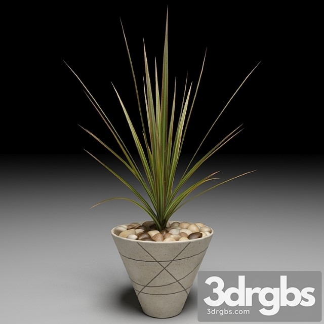 Dracaena Marginata Tree 1 3dsmax Download - thumbnail 1