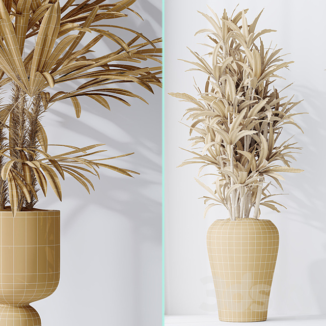 Dracaena Warneckii Lemon and Rhapis Excelsa vases 3DS Max Model - thumbnail 7