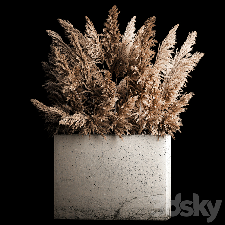 Dried flower bouquet of pampas from dry reeds in a concrete vase of pampas grass Cortaderia. 268. 3DS Max Model - thumbnail 1