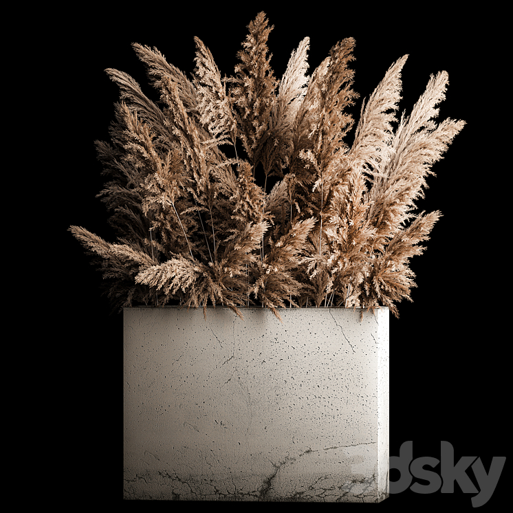 Dried flower bouquet of pampas from dry reeds in a concrete vase of pampas grass Cortaderia. 268. 3DS Max - thumbnail 1