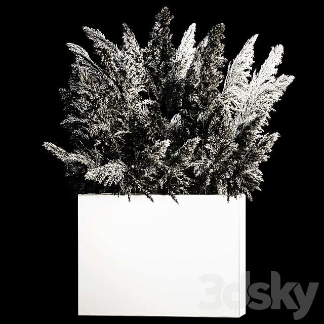 Dried flower bouquet of pampas from dry reeds in a concrete vase of pampas grass. Cortaderia. 268. 3DSMax File - thumbnail 6