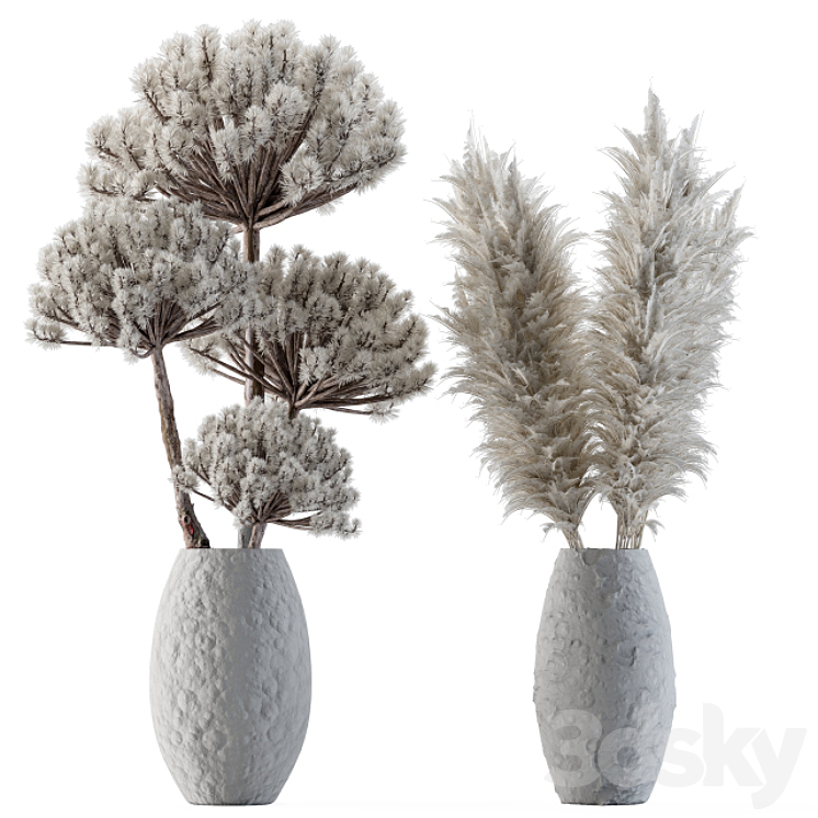 Dry plants 22 – Big Pampas asteroid Pot 3DS Max - thumbnail 1