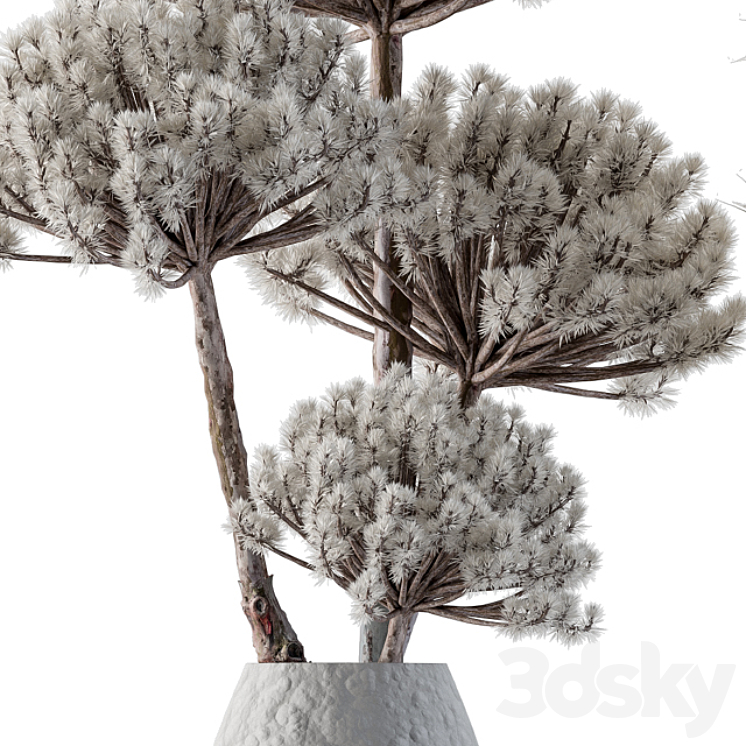 Dry plants 22 – Big Pampas asteroid Pot 3DS Max - thumbnail 2