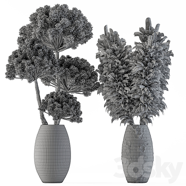 Dry plants 22 – Big Pampas asteroid Pot 3DSMax File - thumbnail 4