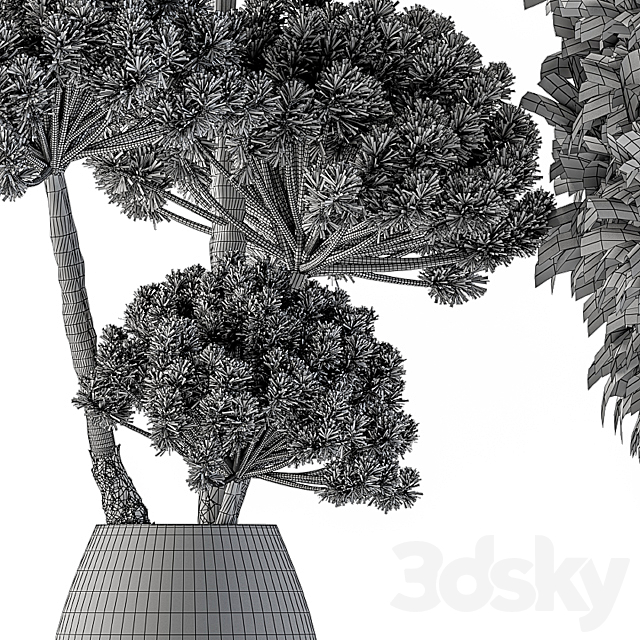 Dry plants 22 – Big Pampas asteroid Pot 3DSMax File - thumbnail 5