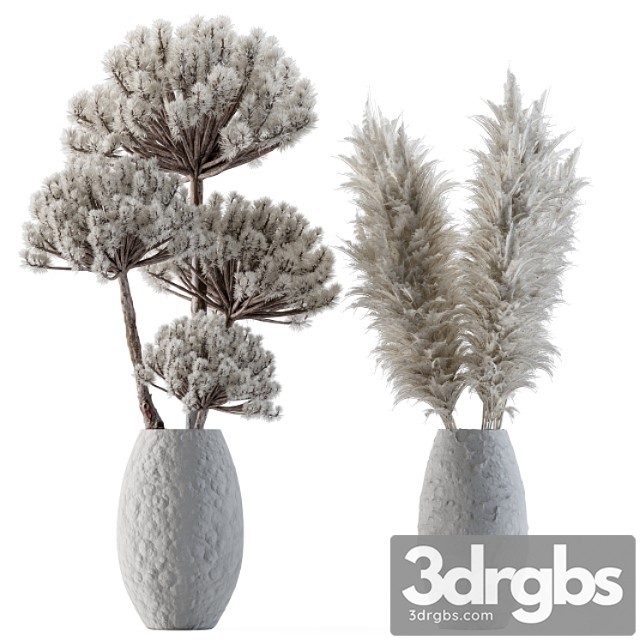 Dry plants 22 – big pampas asteroid pot - thumbnail 1