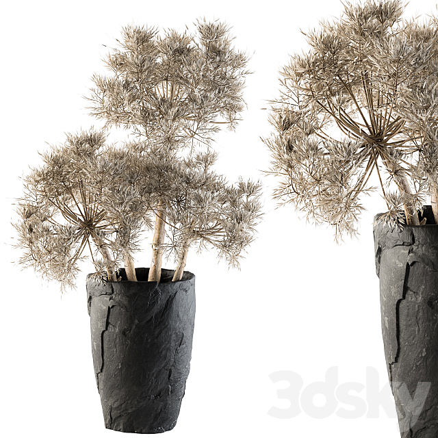 Dry plants 32 – Dried Plant 3DSMax File - thumbnail 1