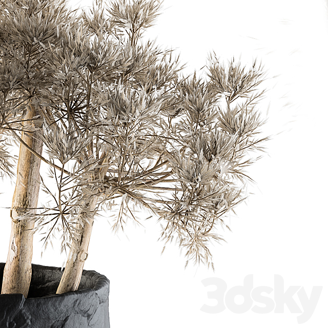 Dry plants 32 – Dried Plant 3DSMax File - thumbnail 3