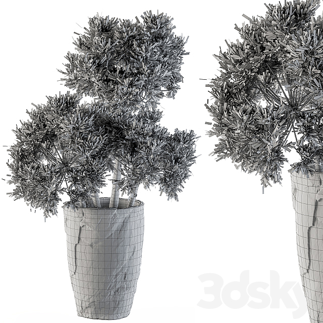 Dry plants 32 – Dried Plant 3DSMax File - thumbnail 4