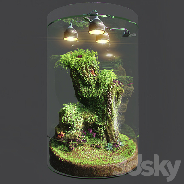 Dwarf Florarium 3DSMax File - thumbnail 1