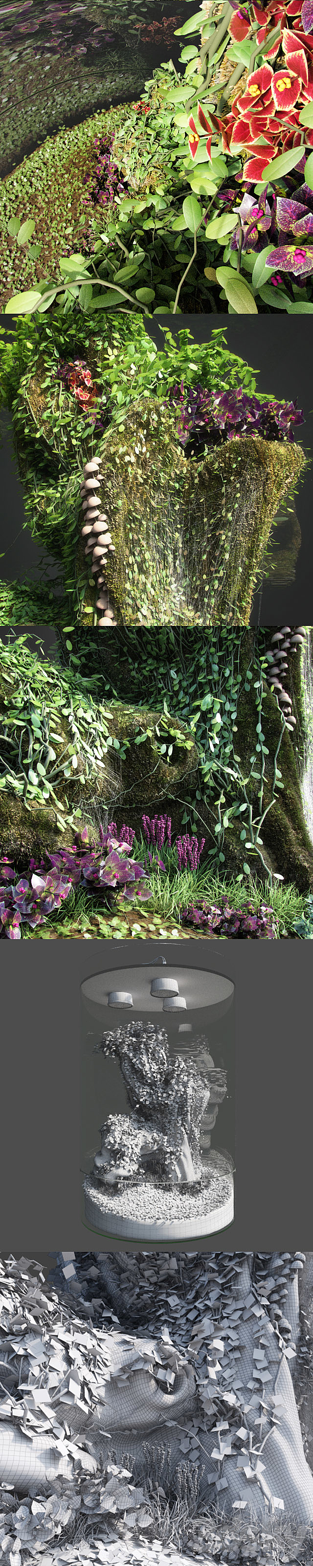 Dwarf Florarium 3DSMax File - thumbnail 3