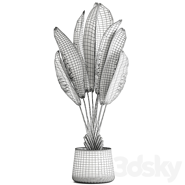 Exotic small flower in a pot with Ravenala Strelitzia Banana palm. 926. 3DS Max Model - thumbnail 5