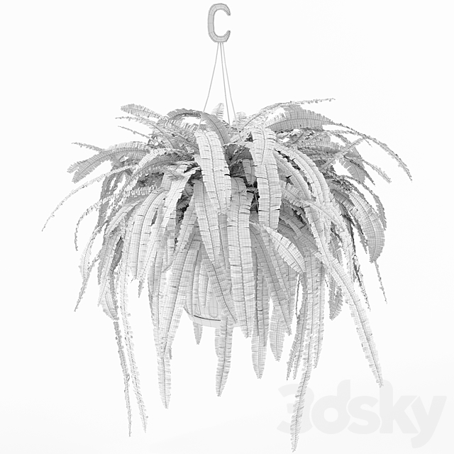 Fern 1 3DSMax File - thumbnail 2