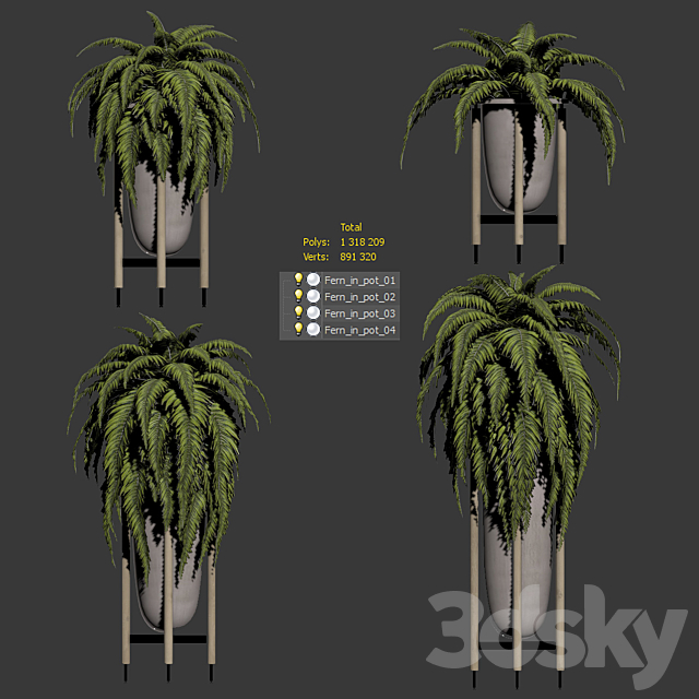 Fern in pots. 4 models 3DS Max Model - thumbnail 3